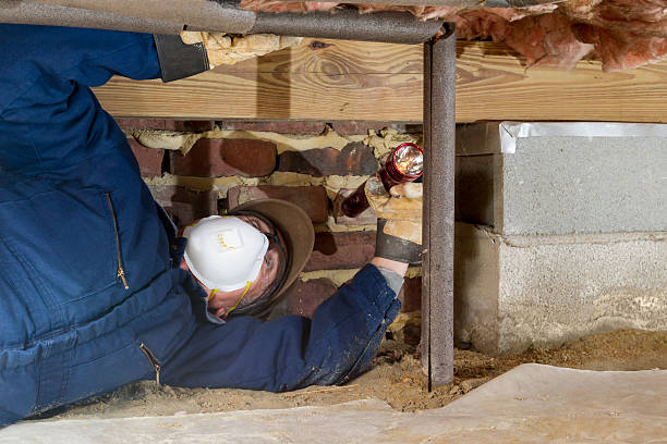 Reliable Insulation Contractors for Maximum Energy Savings